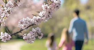 Spring blooms in a park